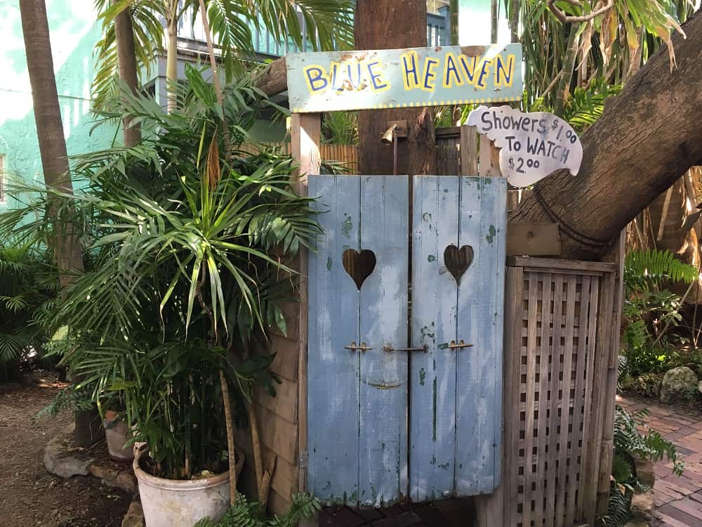 blue heaven key west about blue heaven key west about